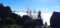 03 arber und kaitersberg ragen aus dem nebel